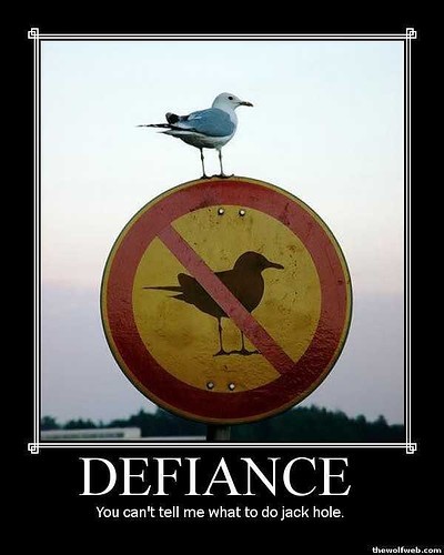 defiance1.jpg